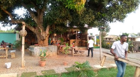 A mango tree and guests at Native Arena, Akure