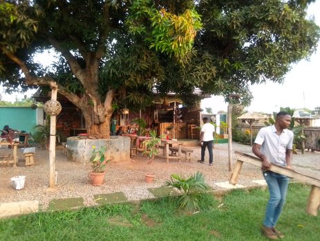 A mango tree and guests at Native Arena, Akure